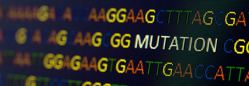 Viruses mutation data