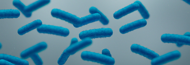 Carbapenemase-producing Enterobacterales