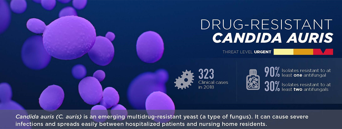 Infográfico de Candida Auris resistente a medicamentos