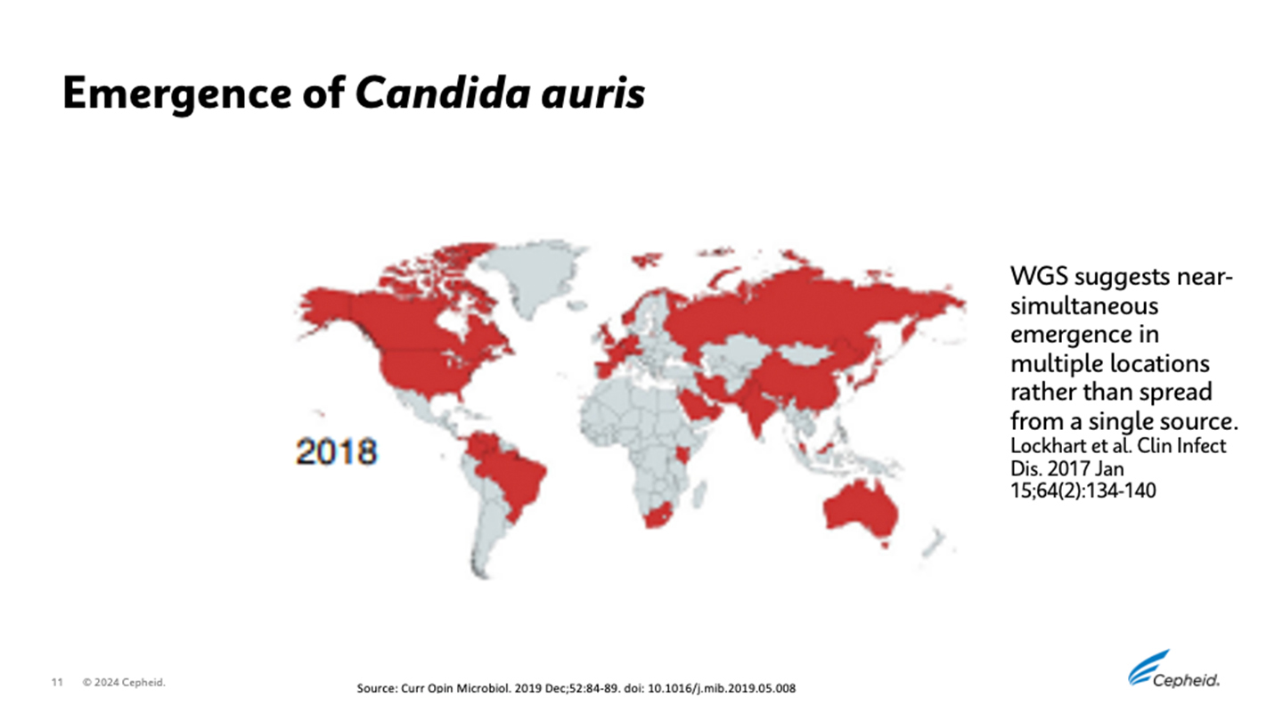 Diapositiva globale su C. Auris